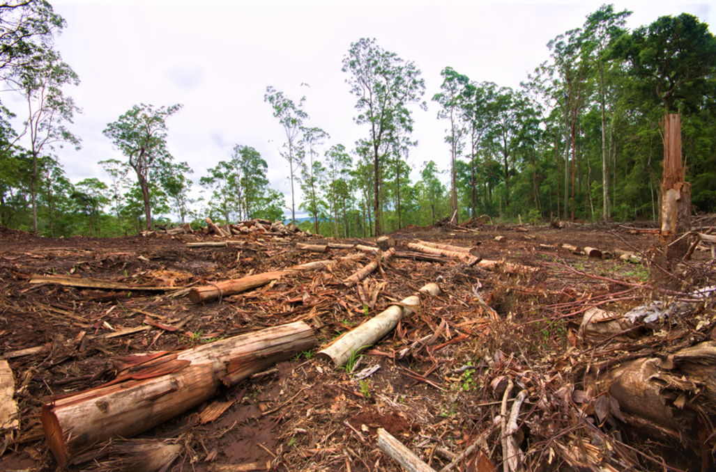 Target Poor Environment The World Fails to Meet Environmental Targets Once Again: Is Our Planet ...