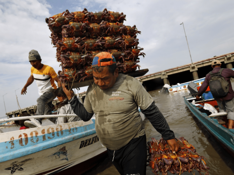 Appetite for Destruction: China’s Fishing Problem in Latin American&nbsp;Waters