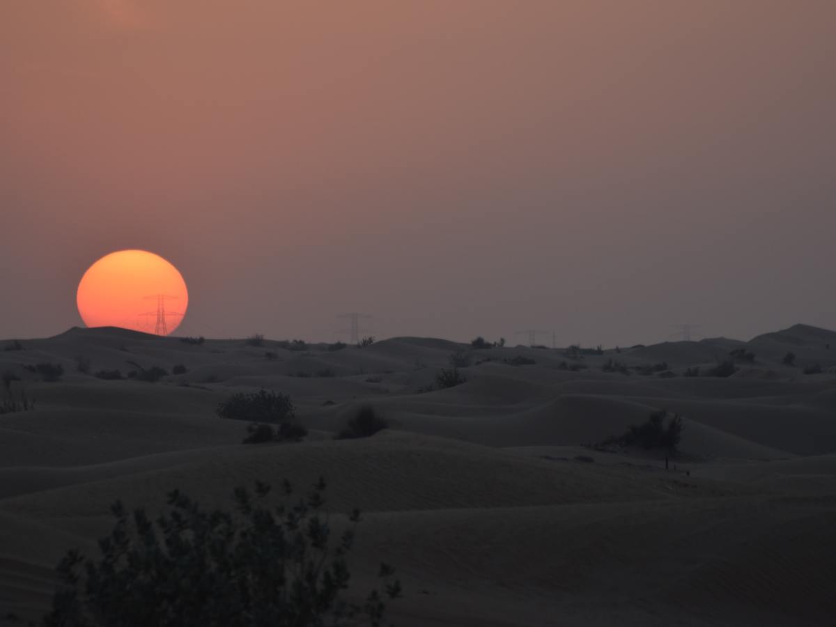 The Failure of the Afghan State Is Symptomatic of the Broader American Middle East&nbsp;Strategy